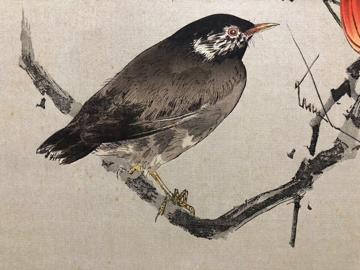 木版画 渡辺省亭【烏瓜図】大正期 真作 ■ 浮世絵 錦絵 花鳥画 新版画 摺物 Ukiyoe_3