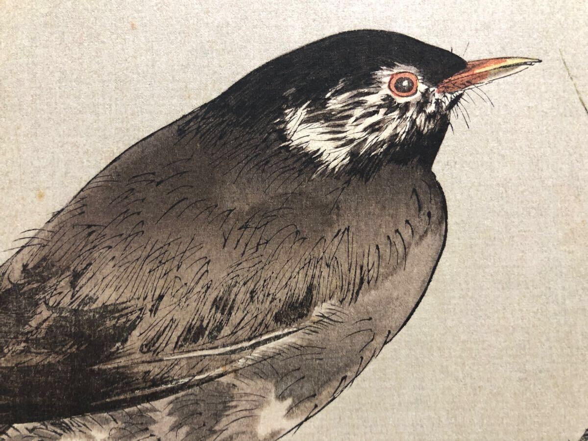 木版画 渡辺省亭【烏瓜図】大正期 真作 ■ 浮世絵 錦絵 花鳥画 新版画 摺物 Ukiyoe_4