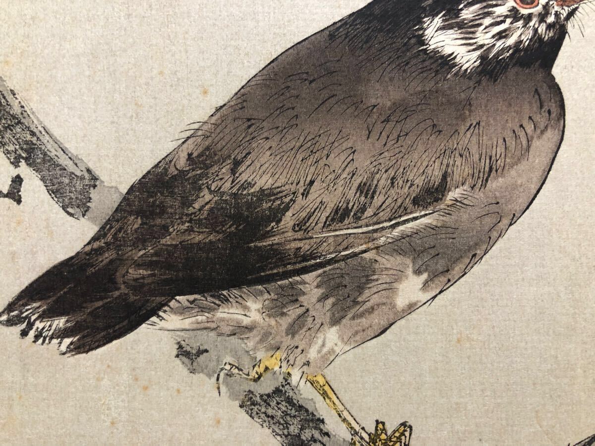 木版画 渡辺省亭【烏瓜図】大正期 真作 ■ 浮世絵 錦絵 花鳥画 新版画 摺物 Ukiyoe_5