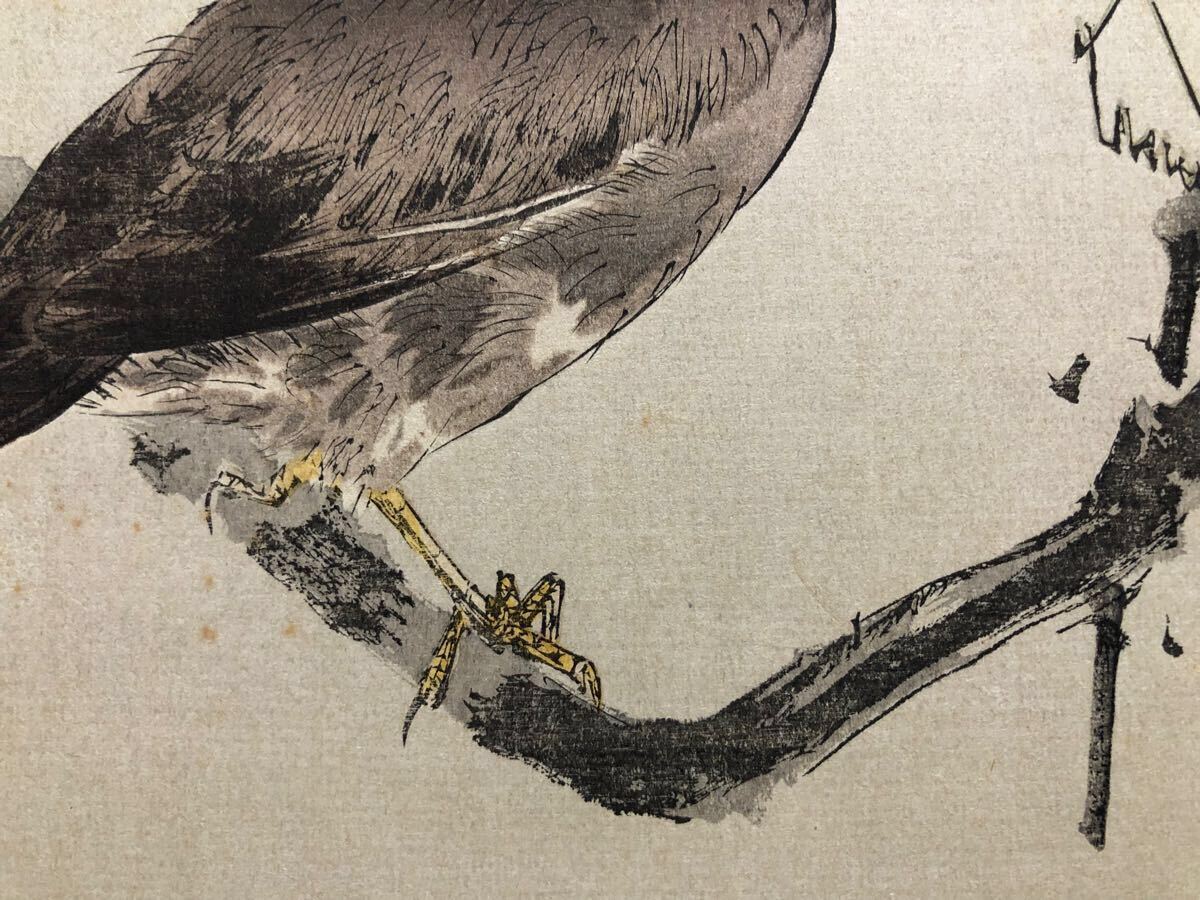 木版画 渡辺省亭【烏瓜図】大正期 真作 ■ 浮世絵 錦絵 花鳥画 新版画 摺物 Ukiyoe_6