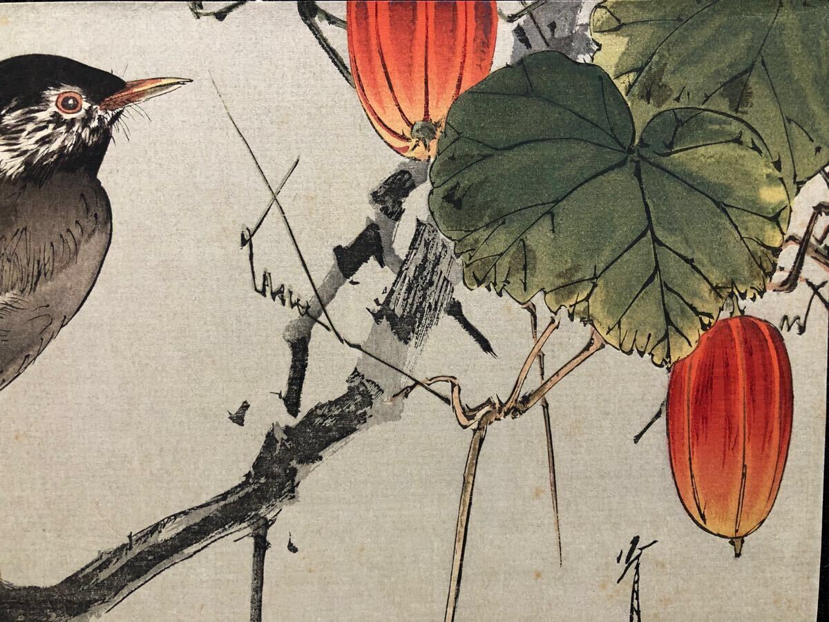 木版画 渡辺省亭【烏瓜図】大正期 真作 ■ 浮世絵 錦絵 花鳥画 新版画 摺物 Ukiyoe_7