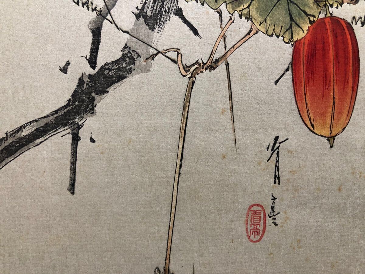 木版画 渡辺省亭【烏瓜図】大正期 真作 ■ 浮世絵 錦絵 花鳥画 新版画 摺物 Ukiyoe_8