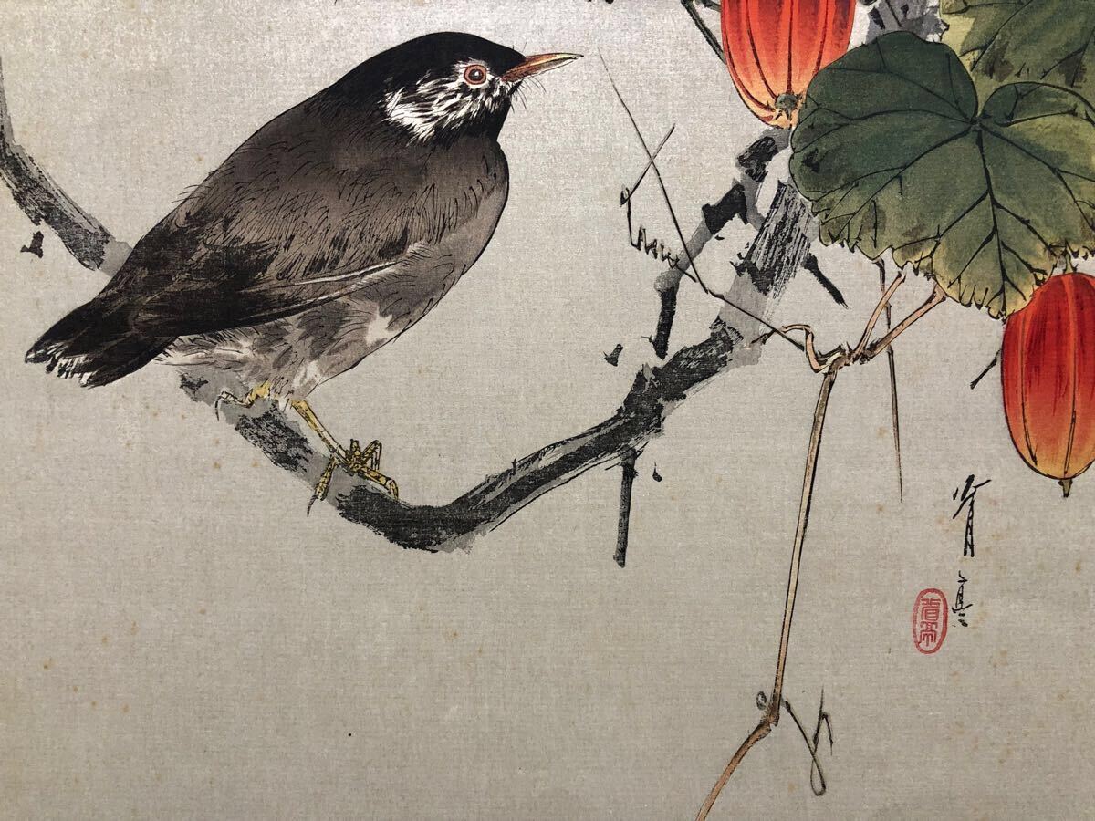 木版画 渡辺省亭【烏瓜図】大正期 真作 ■ 浮世絵 錦絵 花鳥画 新版画 摺物 Ukiyoe_9