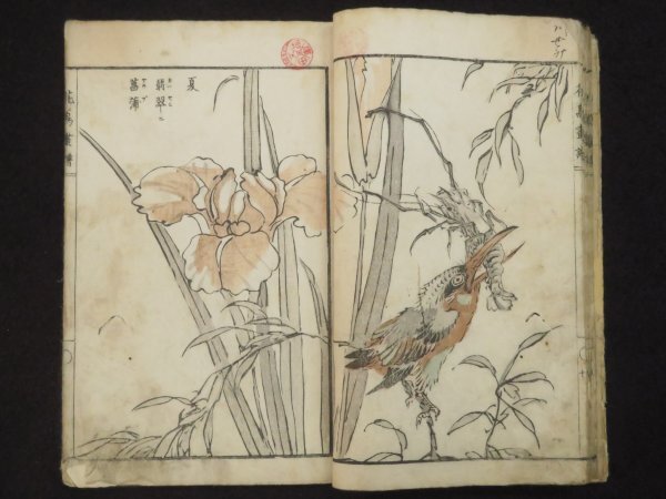 絵入り 和本(7【花鳥画譜】木版画 橘雲峨 明治17年 博物画 検)古書