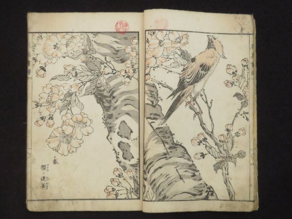 絵入り 和本(7【花鳥画譜】木版画 橘雲峨 明治17年 博物画 検)古書