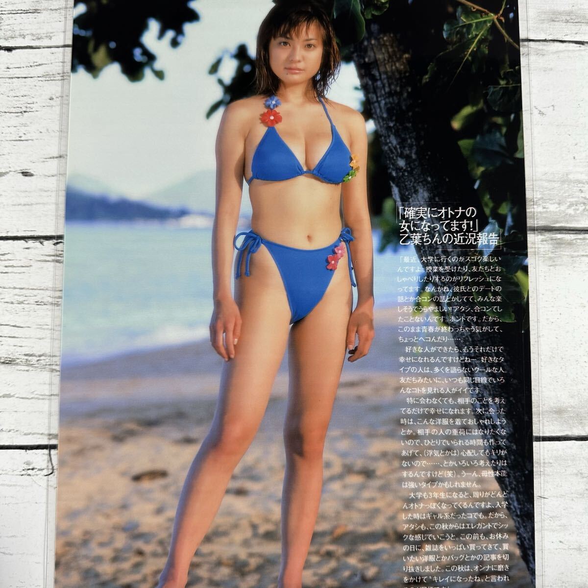 高品質ラミネート処理][ 乙葉 ] 雑誌 切り抜き 10P A4 フィルム 水着
