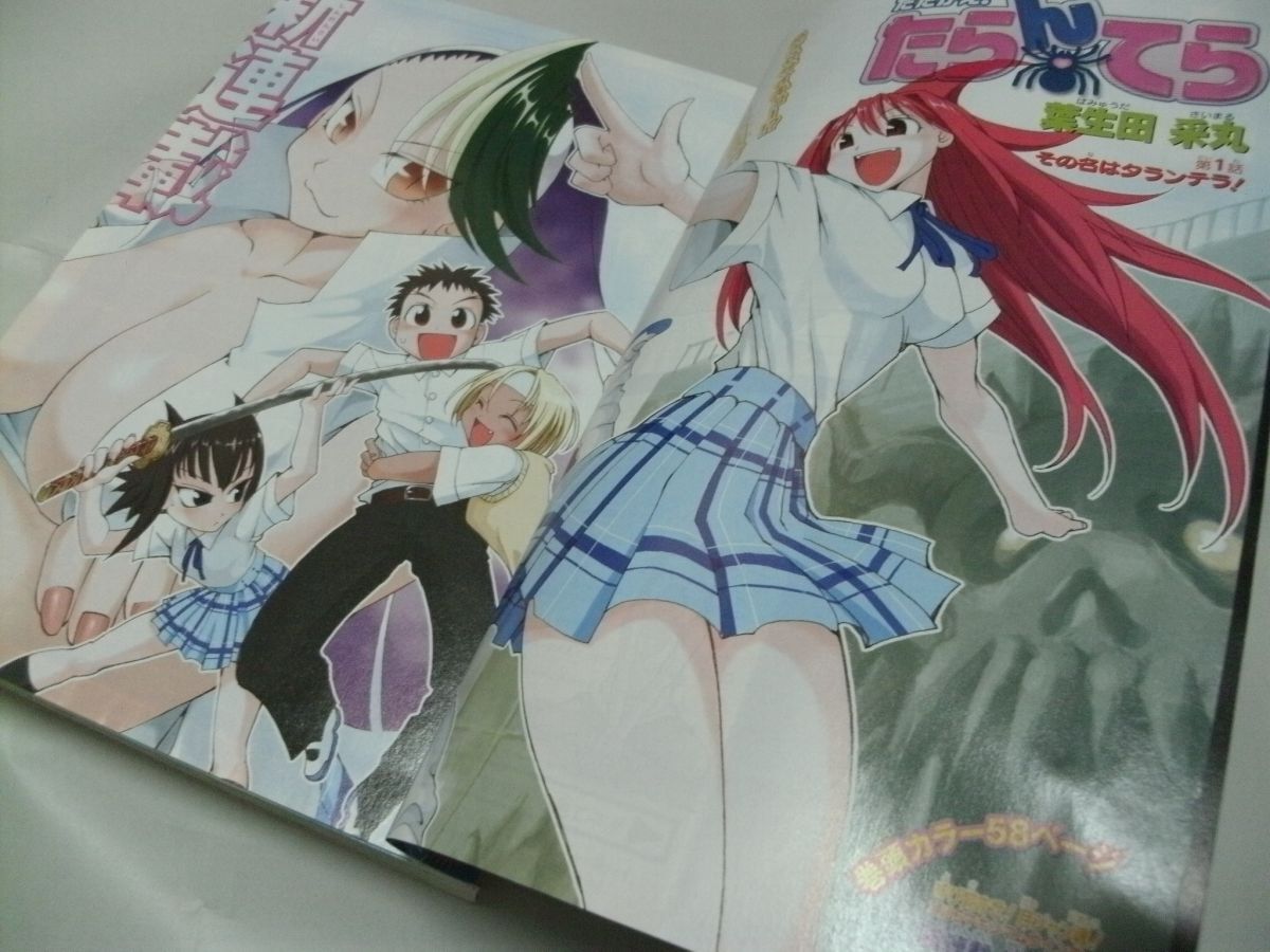 月刊少年ジャンプ 2006年2月号 付録・DSビィト攻略本 新連載・葉生田采
