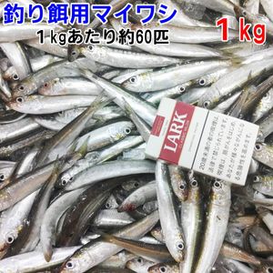 冷凍餌 マイワシ小サイズ 1kg 約60匹 釣り餌 まいわし 鰯 釣りエサ 撒き餌 熱帯魚 観賞魚