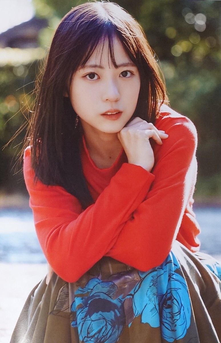 正源司陽子 wer クリアファイル Amazon.co.jp: 日向坂46限定クリアファイル 正源司陽子 平尾帆夏ver