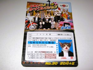 なめんなよ カードの値段と価格推移は？｜19件の売買データからなめん