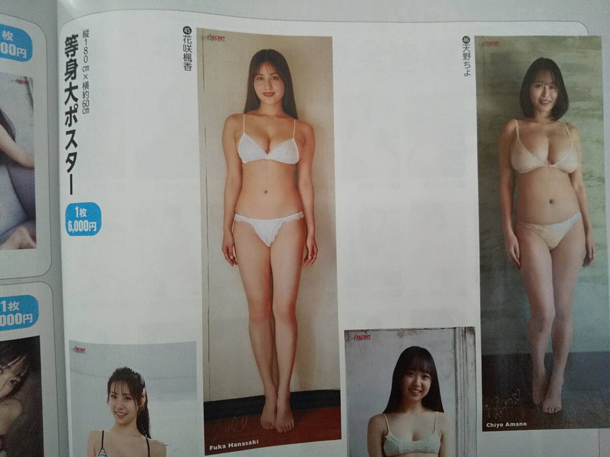 アサ芸シークレット vol.97 応募者全員サービス払込用紙 等身大