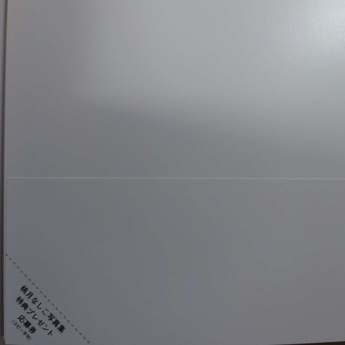 直筆サイン入り】【800円〜入札開始】桃月なしこ 2nd 写真集『むすび