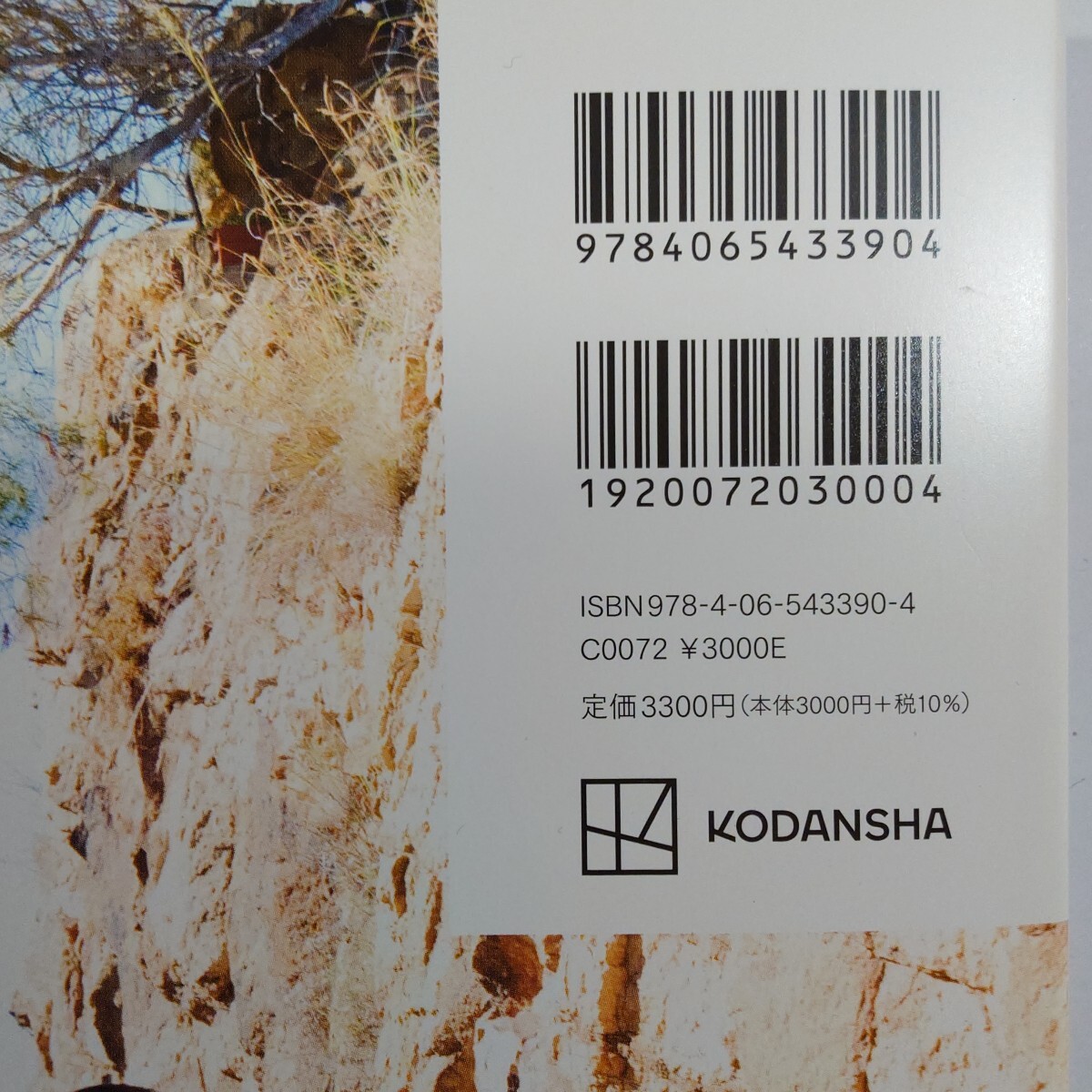 直筆サイン入り】【800円〜入札開始】桃月なしこ 2nd 写真集『むすび