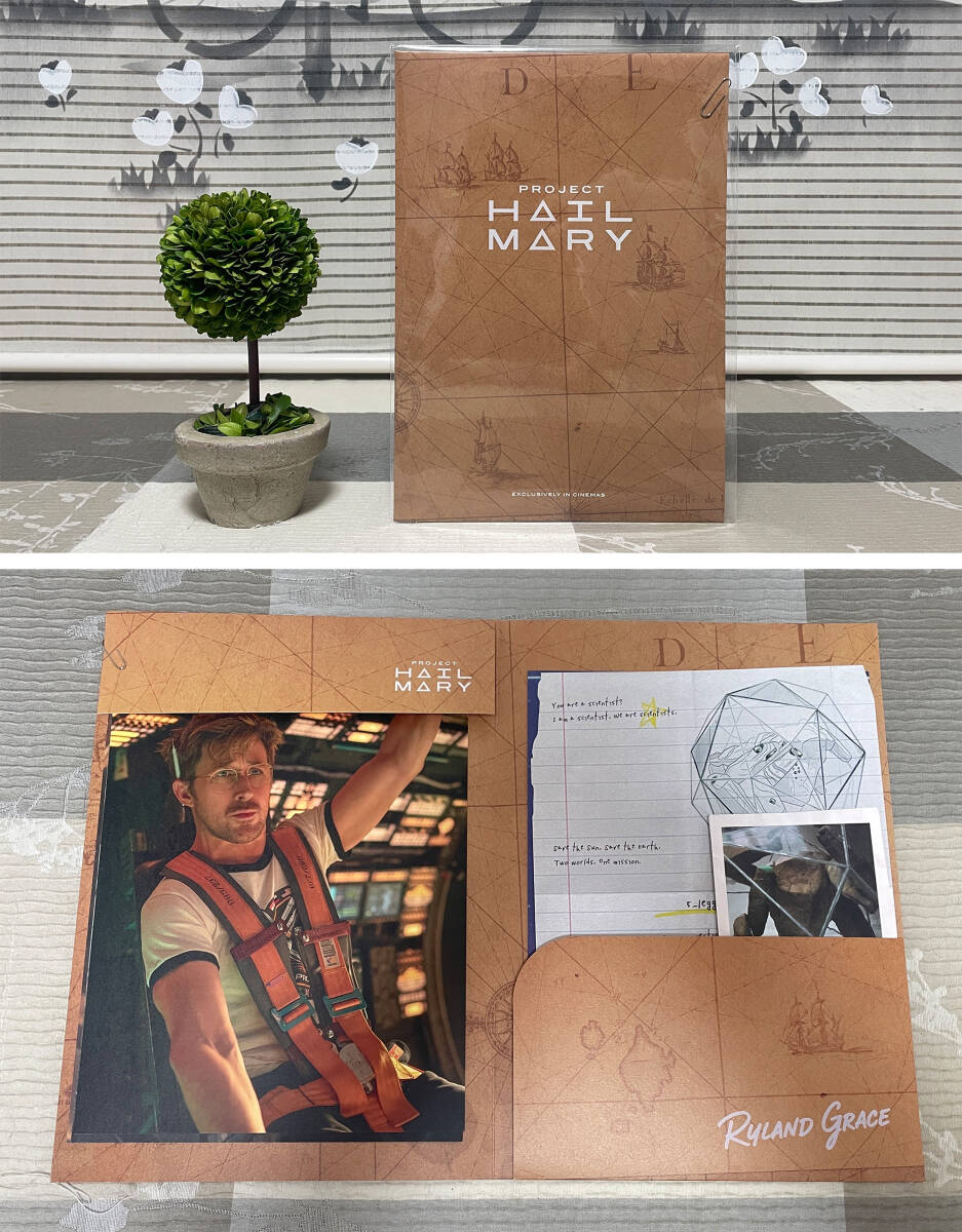 CGV 6週目 入場者特典☆ ロッキー観察日誌 セット☆『プロジェクト