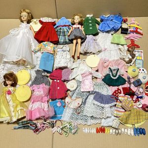 タミーちゃんの値段と価格推移は？｜85件の売買データからタミーちゃん