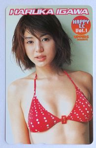 井川遥 テレホンカードの値段と価格推移は？｜19件の売買データから