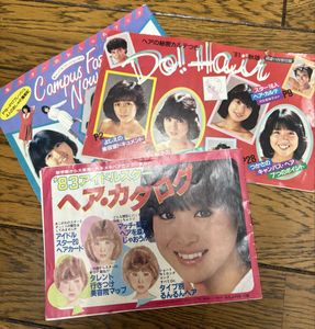 ヘアカタログ 中森明菜の値段と価格推移は？｜11件の売買データから