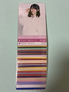 弓木奈於の値段と価格推移は？｜269件の売買データから弓木奈於の価値