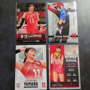 山田二千華の値段と価格推移は？｜96件の売買データから山田二千華の