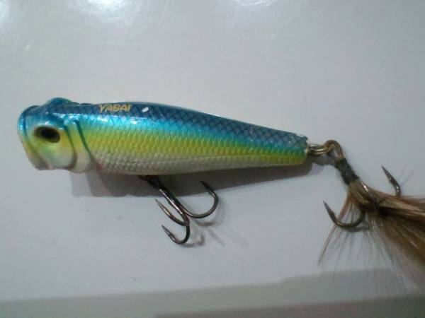 ゲーリー　ヤバイチュッパ_1