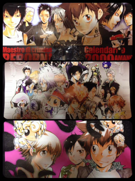 【新品・未使用】家庭教師ヒットマンREBORN！ リボーン　カレンダー 2009 家庭教師ヒットマンreborn!2009年カレンダー(原作絵)(か行)｜売買され