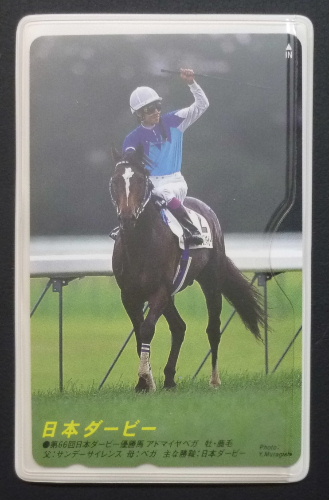 第66回 日本ダービー アドマイヤベガ　記念グッズ 　非売品　競馬 ◇JRA非売品テレカ◇アドマイヤベガ/日本ダービー◇ケース付き◇(競馬