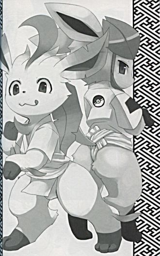 ポケモンケモノ同人誌 スク水シャワーズ 褌リーフィア ぽけこす 少年 売買されたオークション情報 Yahooの商品情報をアーカイブ公開 オークファン Aucfan Com
