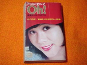 PocketパンチOhのYahoo!オークション(旧ヤフオク!)の相場・価格