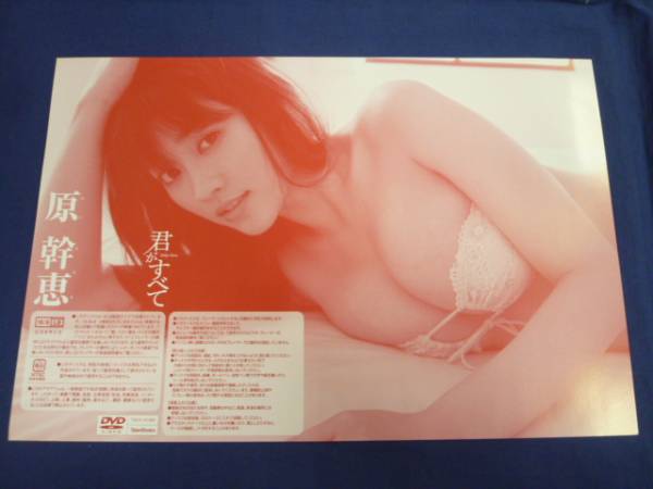 原幹恵 君がすべて DVDジャケット 直筆サイン入り(サイン)｜売買