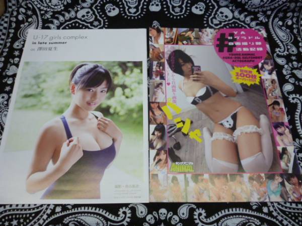 澤田夏生 写真集 吉田早苗 倉持由香 自画撮り ヤングアニマル その他 売買されたオークション情報 Yahooの商品情報をアーカイブ公開 オークファン Aucfan Com