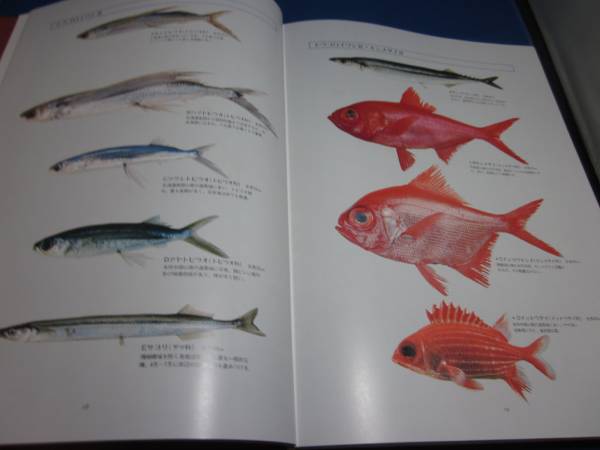 魚譜 日本食用魚介藻大図鑑 グラフ社 定価60000円(和食)｜売買された 