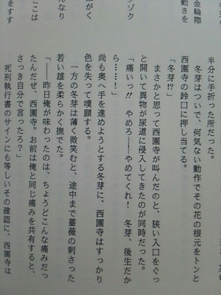 少女革命ウテナ同人誌 漫画 小説 桐生冬芽 西園寺莢一 少女 売買されたオークション情報 Yahooの商品情報をアーカイブ公開 オークファン Aucfan Com