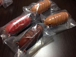 15年04月 ダイオウグソクムシのヤフオク の相場 価格を見る ヤフオク のダイオウグソクムシのオークション売買情報は27件が掲載されています