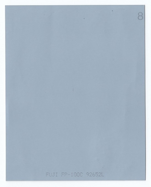 抽プレ☆中条あゆみ 直筆サイン入りポラ☆当選通知書付き