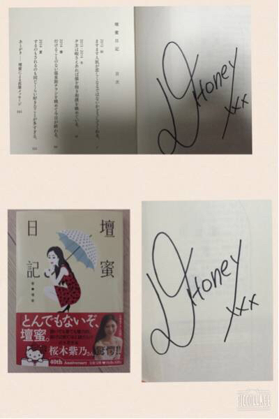 ★送料無料★直筆サイン入り壇蜜日記 カレンダー 握手会 単行本_1