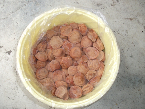 梅干し4L切れ 10㎏ 入り 紀州みなべ産 世界農業遺産認定