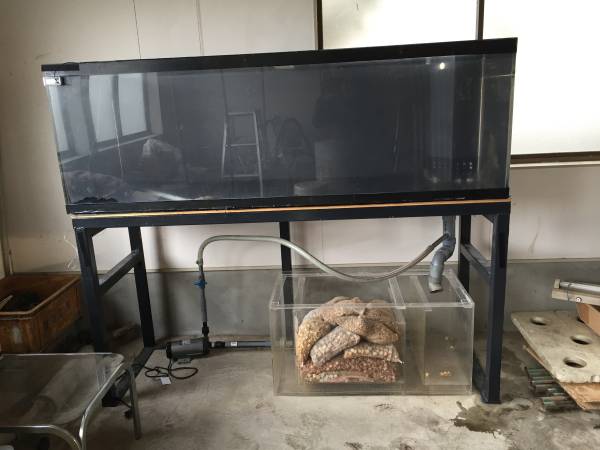 1800×600×600 水槽セット 引き取り限定