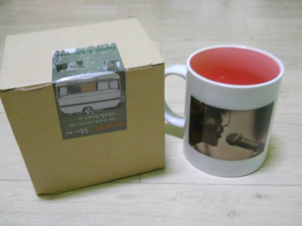 韓国　キムナムギル　2012年ファンミーティング　マグ