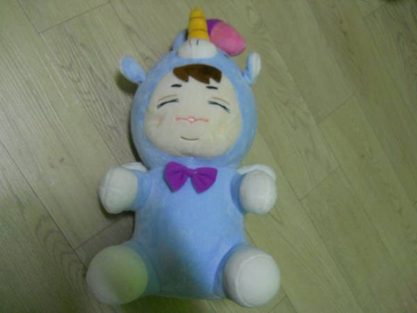 韓国 EXO ぬいぐるみ ビックユニシン レイ exo レイ lay ぬいぐるみ
