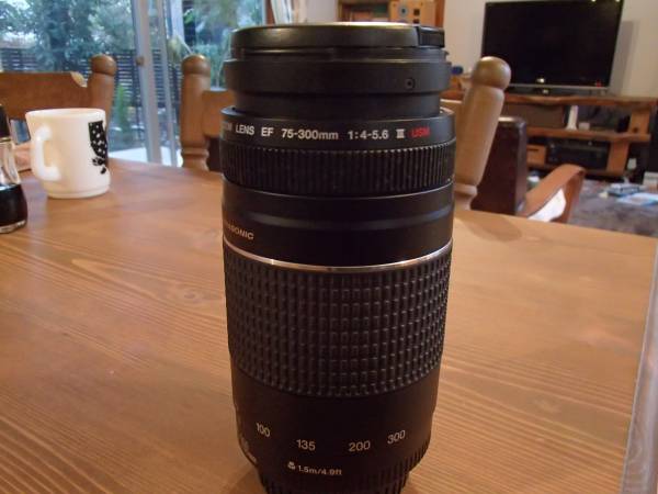 Canon(キャノン)EF 75-300mm F4-5.6 Ⅲ USM　望遠レンズ