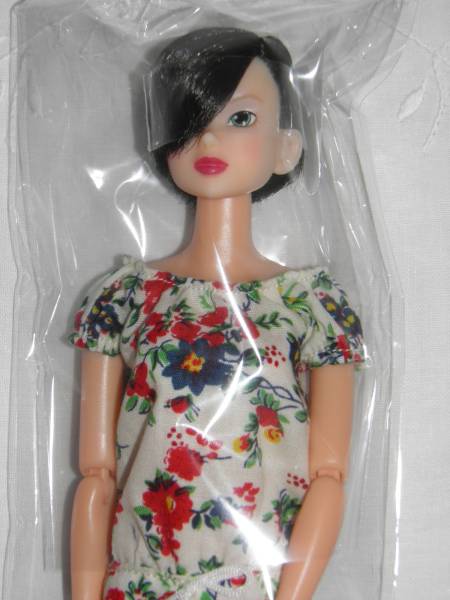 Today’s momoko ペットワークス ハッピーBOX 2015 新品 ②