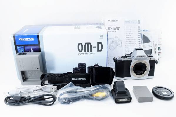 ★超極上美麗品★OLYMPUS オリンパス OM-D E-M5 元箱付き#156
