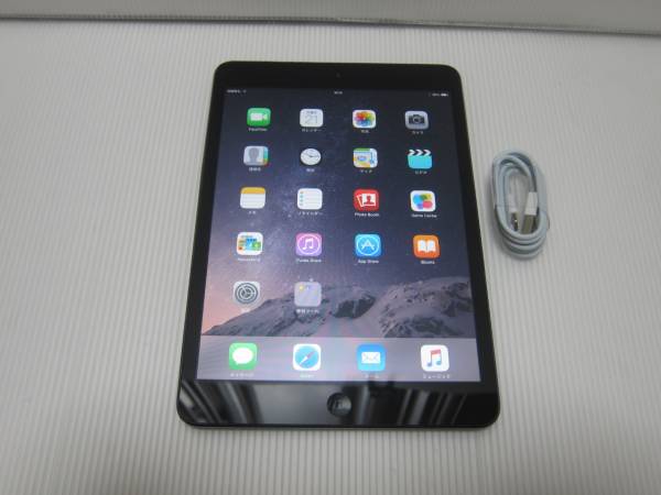 iPad mini Wi-F +セルラー 16GB No69