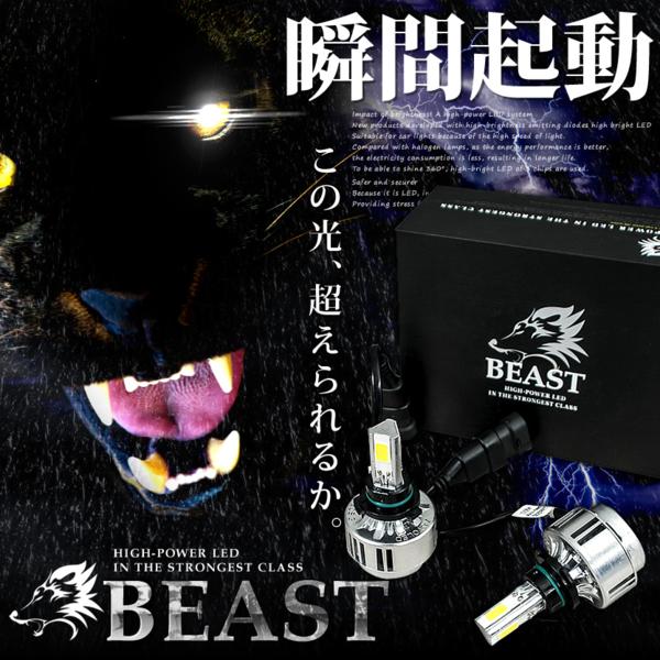 送料無料 E51 エルグランド後期 ビースト LEDフォグランプ H11