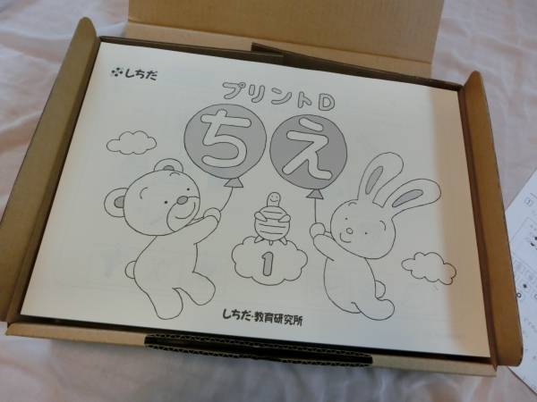 七田式 しちだ式 プリント D 七田式 小学校入学前の基礎固め！