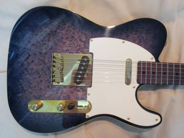 レアモデル！Bill's Brothers バーズアイ TELE 　日本製！