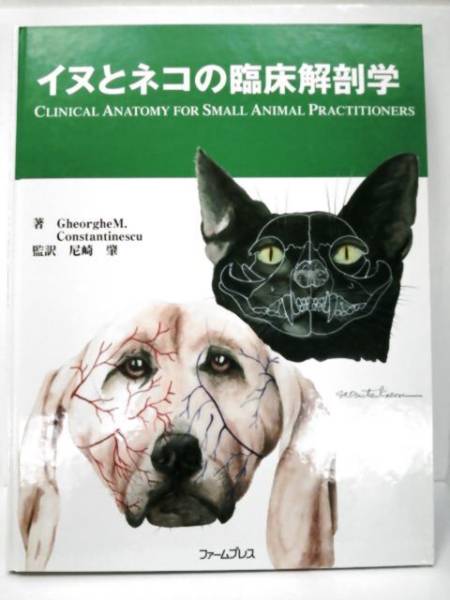 ネコとイヌの身体診察　美品 イヌとネコの臨床解剖学 平成16年第1版 ファームプレス イヌとネコの