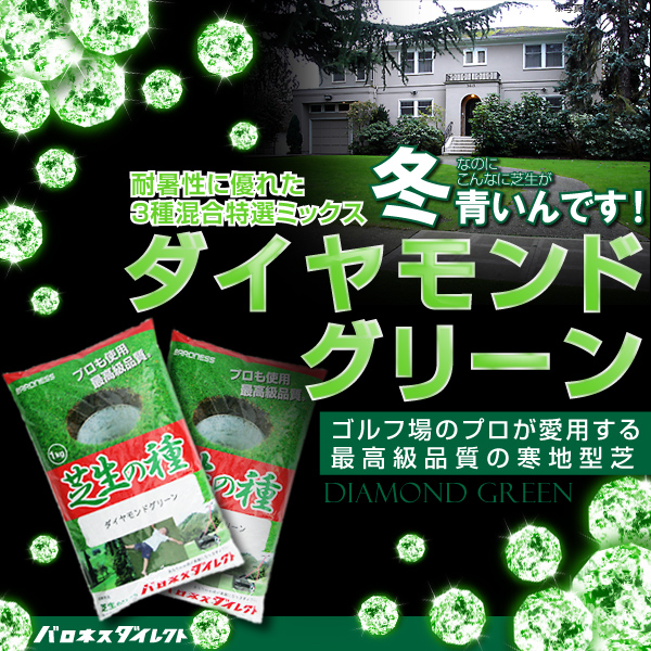 特選ミックス ダイヤモンドグリーン 1kg バロネス寒地型芝の種