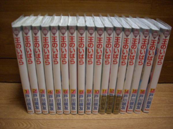戸川視友『王のいばら』全１７巻