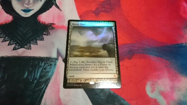 MTG 湿地の干潟 EXP foil EXP 【公式通販】